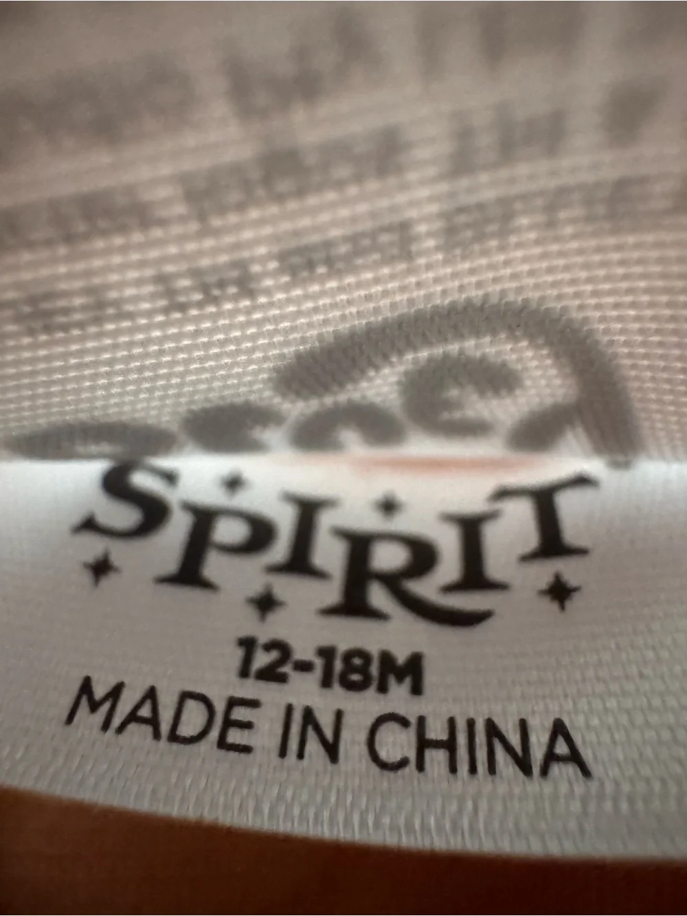 Spirit official bingo